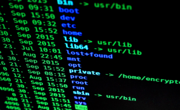 Unlocking the BMR Code