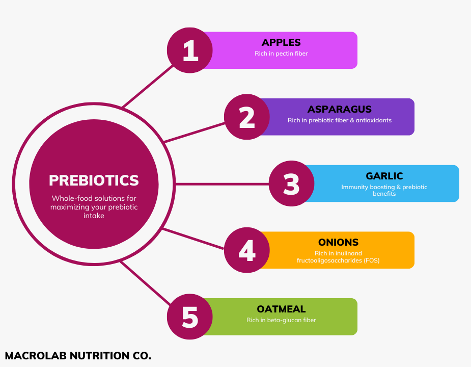 Foods Rich in Prebiotics